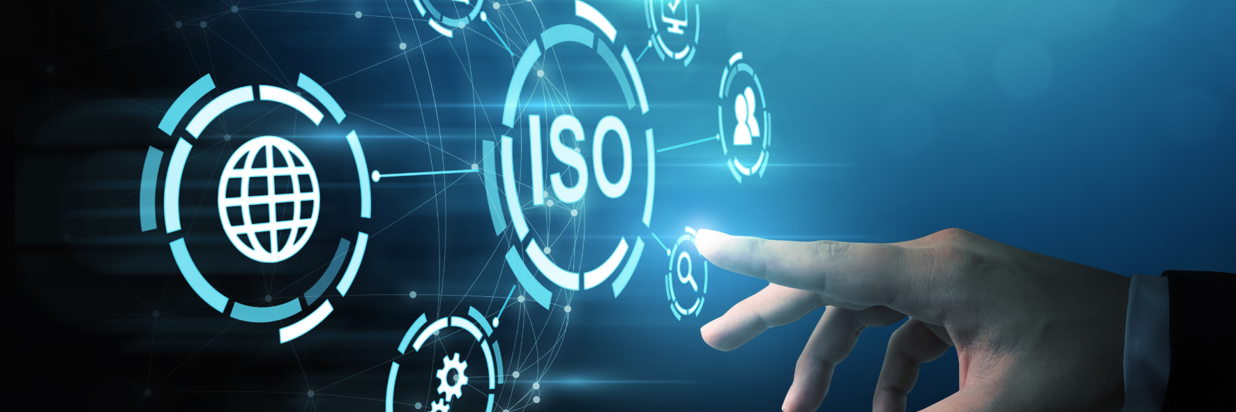 ניהול האיכות